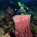 sponge_barrel_sr_v_0705_png0936.jpg